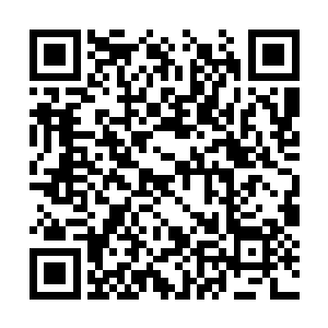 这就意味着只能在山川灵气十分充裕的条件下生长二维码生成