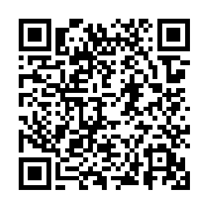 这就是为什么我和曲歌分手了可以成为刚正集团的总裁二维码生成