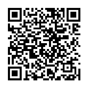 这就是为什么血河界以换地图加竞技流开篇的原因二维码生成