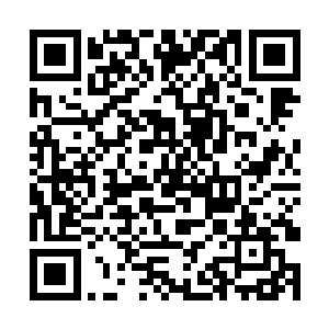 这就是几百年来让多少人魂牵梦萦的传世名琴凤凰琴二维码生成