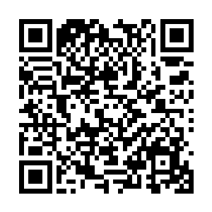 这就是华夏传媒大学等高校一众老师最真实的心声二维码生成