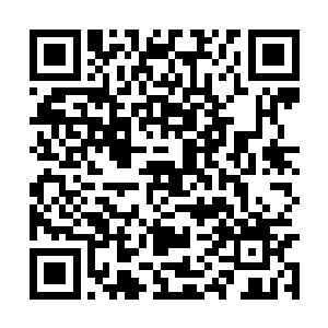 这就是当初的时候龙皇赐予我锦鲤一族的水晶圣宫二维码生成