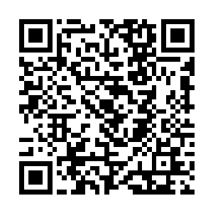 这就是我一路上明知道可能发生弱剑针对强剑的格局二维码生成