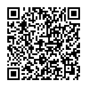 这就是我们订购的那款意大利设计制造的新枪s坐力绝对是按照4步枪的效果来二维码生成