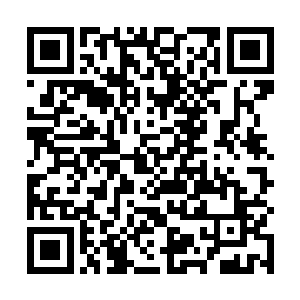 这就是抱着我死了你也别想从我身上拿到半分钱的心态二维码生成