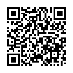 这就是由叶枫捧出来的全新的苏家二维码生成