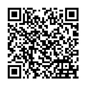 这就是那个来历神秘身手也同样神秘的保镖田螺二维码生成