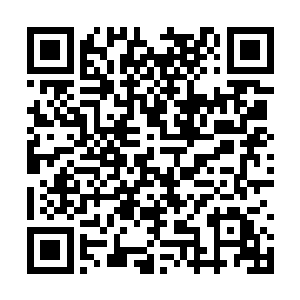 这就算是自己拼了命干好几个月都赚不回来的钱啊二维码生成