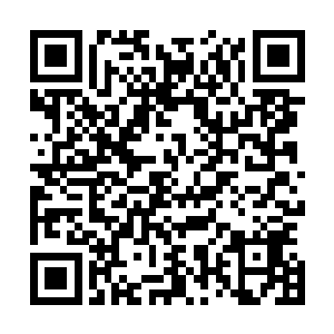 这就算是金丹期乃至于元婴期的修士都不一定能够做得到吧二维码生成