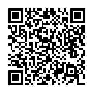 这就让整个灵界所有的野心家全都要去实现自己的野心了二维码生成