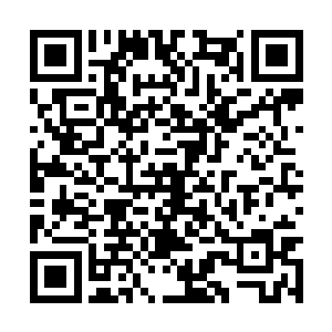 这就说明杨风自己都不清楚自己的防御是什么水平二维码生成