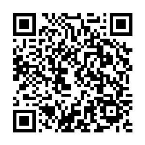这就需要非常精准的时机判断和速度……幸青脉在这一方面二维码生成