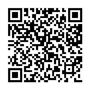 这山匪军团据说曾经是海域内一个比较大的军团二维码生成