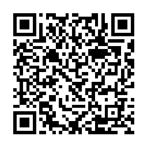 这巨型饿鬼从胃囊深处喷出来的那气息没有什么颜色二维码生成