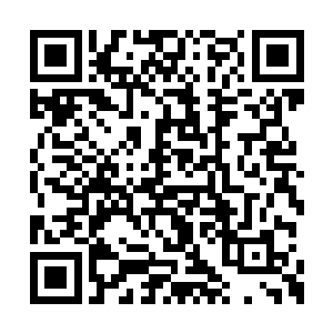 这帮老家伙还是比刚入学的学子们脑子精明一点二维码生成