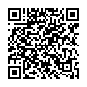 这并非是因为东方玉兰的武功就比东方康云两人高二维码生成