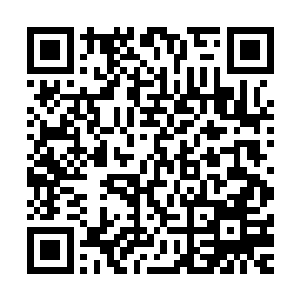这库尔德武装……反正古丽莎他们那部落武装的战斗力很堪忧二维码生成