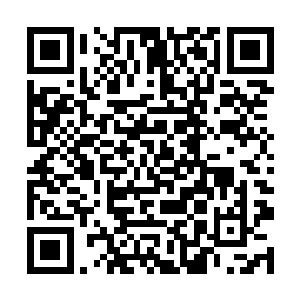 这应该是它们族内的事情・・・・・・她还是别管了二维码生成