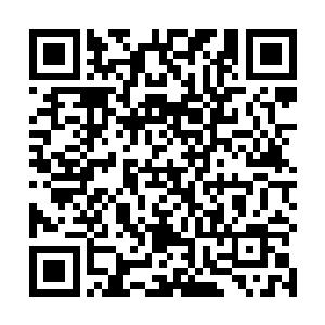 这应该是要打开某个宝藏或者是某个地方所需要的条件二维码生成