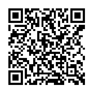 这座城市最开始就是由龙剑派的家眷建立起来的二维码生成