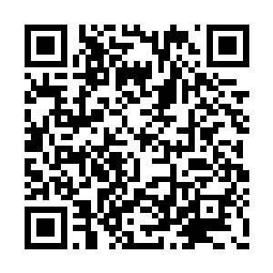 这座数百年的繁华城池竟在瞬间变成了修罗地狱二维码生成