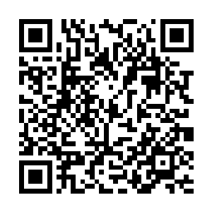 这张白纸上也画着同样的小鬼拿着暗红色玫瑰的图案二维码生成