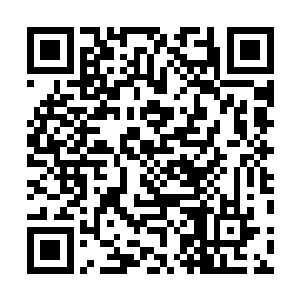 这怀城上下的公子哥都以能与牡丹姑娘共度一日为风雅呢二维码生成