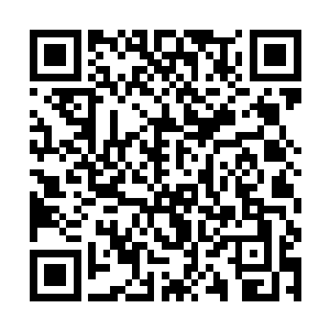这恐怖的力道直接将可怜的冬日巨狼拍成了濒死状态二维码生成
