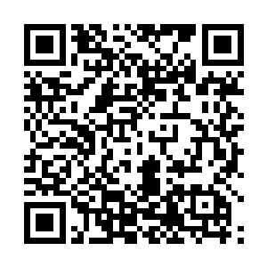 这意味着他们的进步速度将比同龄人快上十倍甚至百倍二维码生成