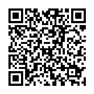 这意味着我们这里一定会诞生出十重仙以上的修士二维码生成