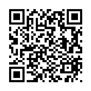 这所学校包含了这所小城的所有学生二维码生成