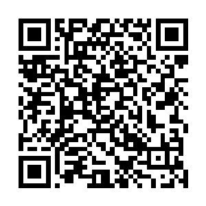 这所有人都认为北宁侯府的二小姐是一个温婉贤淑的女子二维码生成