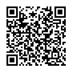 这所有的一切都好像都和她所认识的林烽对上了号二维码生成