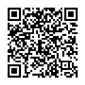 这所谓的考验实际上就是这个白发老者想收一个传承者二维码生成