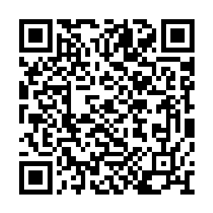 这才像话……这才是身为僵尸该有的觉悟啊……二维码生成