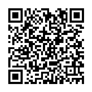 这才发现七级魔皇身上的宝贝都在自爆中化作了无形二维码生成