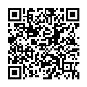 这才发现所有人的注意力全都放在了霓虹裳的身上二维码生成