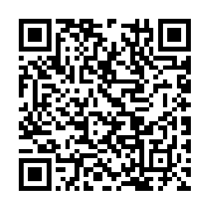 这才想到自己竟然忘记将换下来的内衣裤收起来了二维码生成