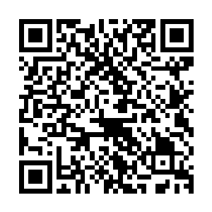 这才想起自己面对这个桂真人似乎拥有某种可以洞破虚实的能力二维码生成