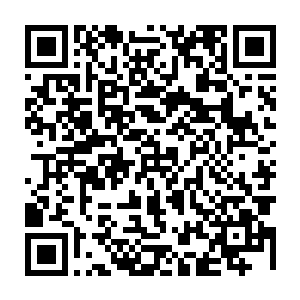这才是他印象中很多年以前常跟在姚神医屁股后面追着一起抓药的那个女孩二维码生成