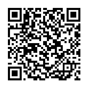 这才是史诗级任务的真正奖励――对于任何武者来说二维码生成