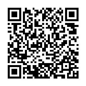 这才是秦方冒险闯入这一片危险区域的真正原因所在二维码生成