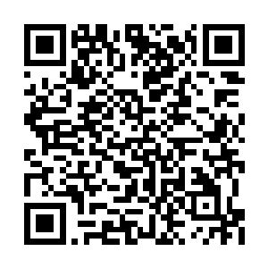 这才猛然记起昨晚从阳台收进来就扔在沙发上了二维码生成