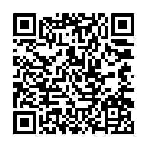 这才能够拍了拍这位今日没有穿龙袍的高大男子肩膀二维码生成