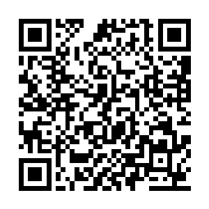 这才那么轻易的就被血神天帝给转移了发泄目标二维码生成