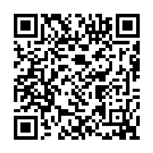 这打败敌人得到的十分之一圣元如果不及时吸收二维码生成