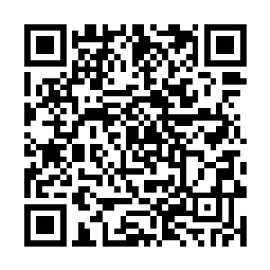 这批新人被称为英仙座分部有史以来最强的一届新人二维码生成