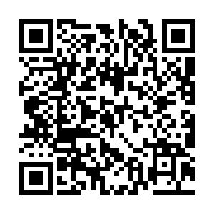 这拍卖会进行拍卖的东西可是从来都是没有流拍过二维码生成