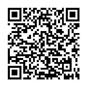 这招是你们青鸾仙子在遗忘之地星盘演习时常用二维码生成