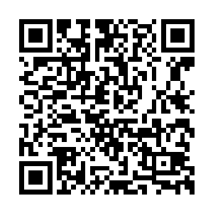 这支队伍看起来很强大……起码两个高阶玉仙吧二维码生成